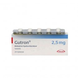 Гутрон таблетки 2,5 мг. №20 в Воткинске и области фото